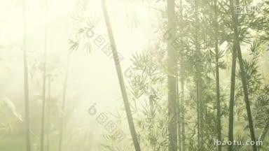 竹林逆光仙境拍摄